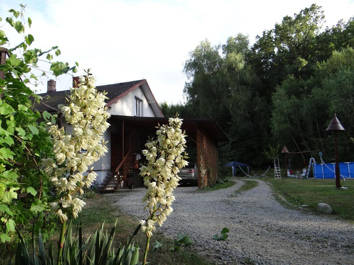 Ferienwohnung Dom Na Wzgorzu Görlitz Exterior foto