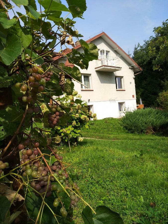 Ferienwohnung Dom Na Wzgorzu Görlitz Exterior foto